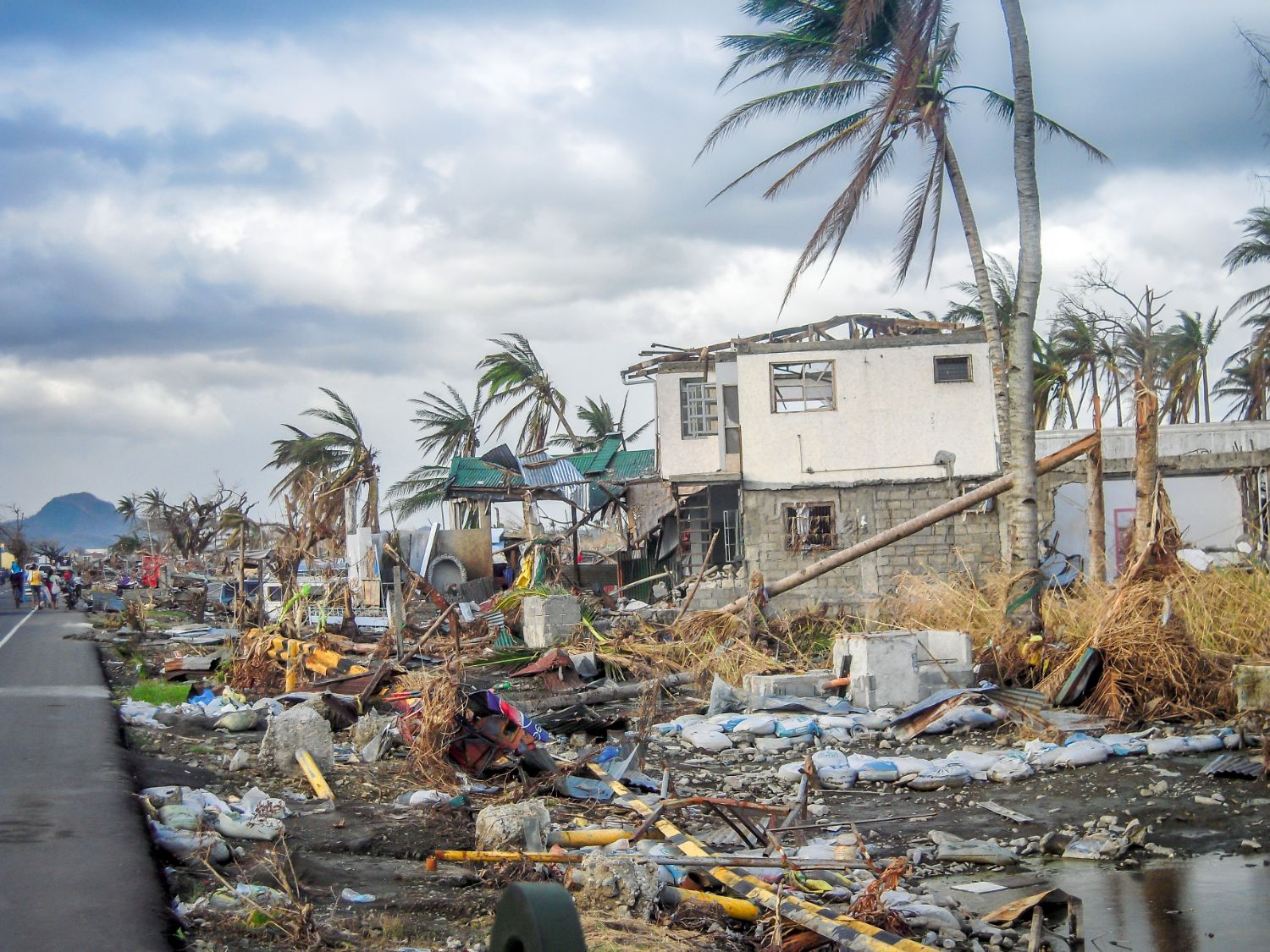 Disaster Security Services